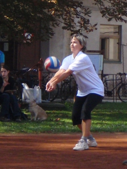 P9100089